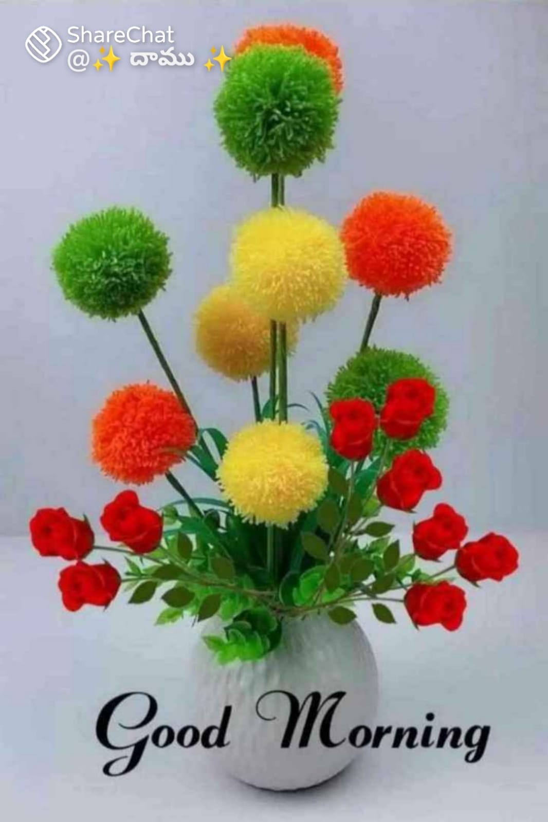 S. V .Sai Preethi